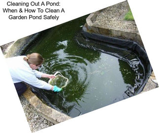 Cleaning Out A Pond: When & How To Clean A Garden Pond Safely