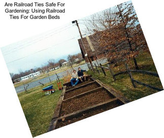 Are Railroad Ties Safe For Gardening: Using Railroad Ties For Garden Beds