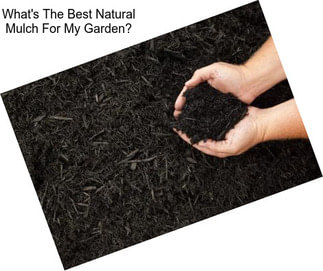 What\'s The Best Natural Mulch For My Garden?