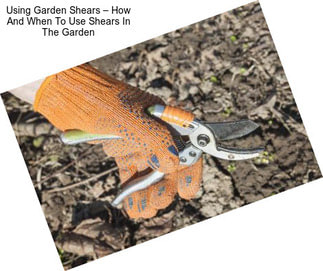 Using Garden Shears – How And When To Use Shears In The Garden