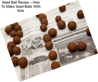 Seed Ball Recipe – How To Make Seed Balls With Kids