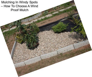 Mulching In Windy Spots – How To Choose A Wind Proof Mulch