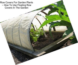 Row Covers For Garden Plants – How To Use Floating Row Covers In The Garden