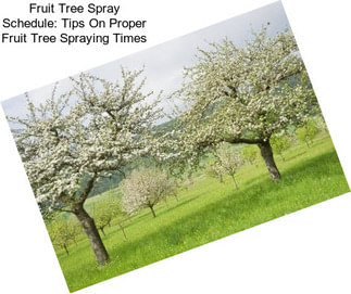 Fruit Tree Spray Schedule: Tips On Proper Fruit Tree Spraying Times