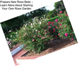 Prepare New Rose Beds – Learn More About Starting Your Own Rose Garden