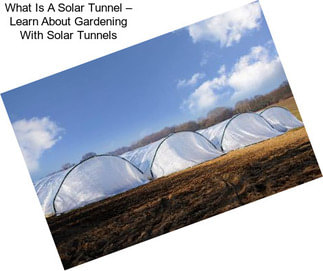 What Is A Solar Tunnel – Learn About Gardening With Solar Tunnels