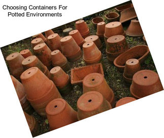 Choosing Containers For Potted Environments