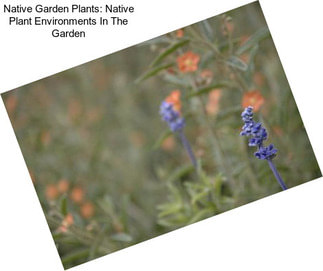 Native Garden Plants: Native Plant Environments In The Garden