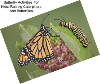 Butterfly Activities For Kids: Raising Caterpillars And Butterflies
