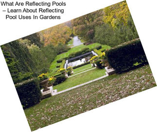 What Are Reflecting Pools – Learn About Reflecting Pool Uses In Gardens