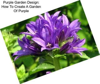 Purple Garden Design: How To Create A Garden Of Purple