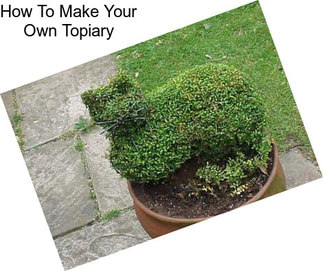 How To Make Your Own Topiary