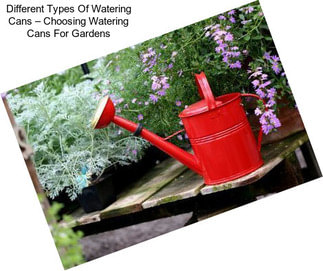 Different Types Of Watering Cans – Choosing Watering Cans For Gardens