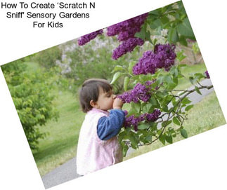 How To Create ‘Scratch N Sniff\' Sensory Gardens For Kids