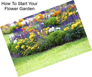 How To Start Your Flower Garden