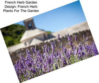 French Herb Garden Design: French Herb Plants For The Garden