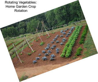 Rotating Vegetables: Home Garden Crop Rotation