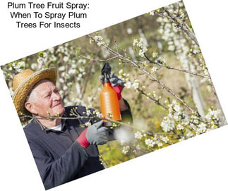Plum Tree Fruit Spray: When To Spray Plum Trees For Insects