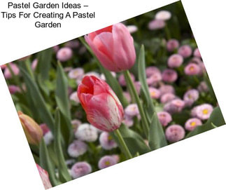 Pastel Garden Ideas – Tips For Creating A Pastel Garden