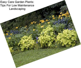 Easy Care Garden Plants: Tips For Low Maintenance Landscaping