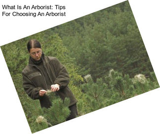 What Is An Arborist: Tips For Choosing An Arborist