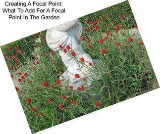 Creating A Focal Point: What To Add For A Focal Point In The Garden