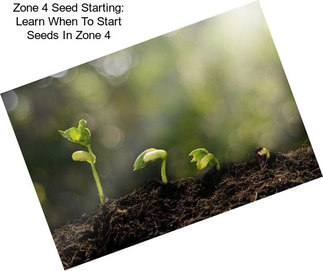 Zone 4 Seed Starting: Learn When To Start Seeds In Zone 4