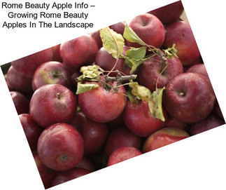 Rome Beauty Apple Info – Growing Rome Beauty Apples In The Landscape