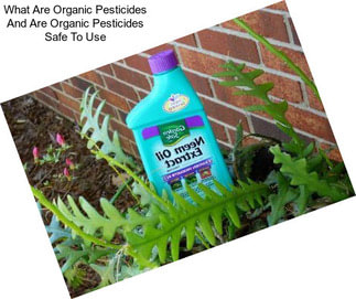 What Are Organic Pesticides And Are Organic Pesticides Safe To Use