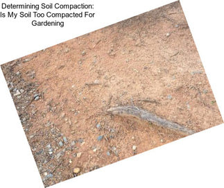 Determining Soil Compaction: Is My Soil Too Compacted For Gardening