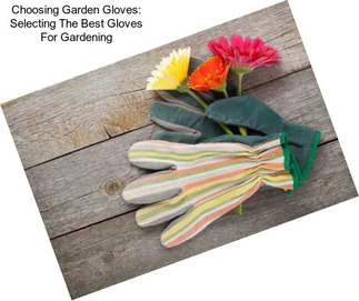 Choosing Garden Gloves: Selecting The Best Gloves For Gardening