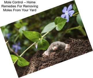 Mole Control – Home Remedies For Removing Moles From Your Yard