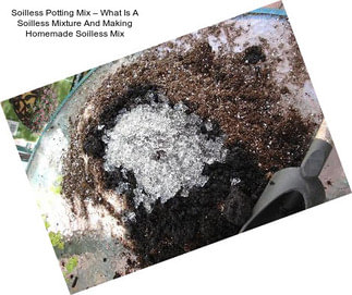 Soilless Potting Mix – What Is A Soilless Mixture And Making Homemade Soilless Mix