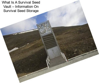 What Is A Survival Seed Vault – Information On Survival Seed Storage