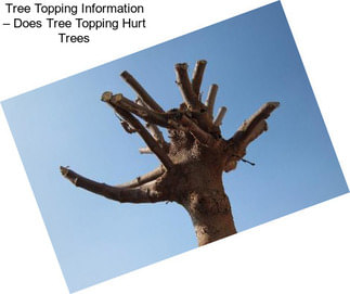 Tree Topping Information – Does Tree Topping Hurt Trees