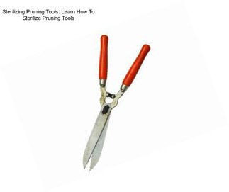 Sterilizing Pruning Tools: Learn How To Sterilize Pruning Tools