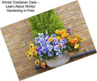 Winter Container Care – Learn About Winter Gardening In Pots