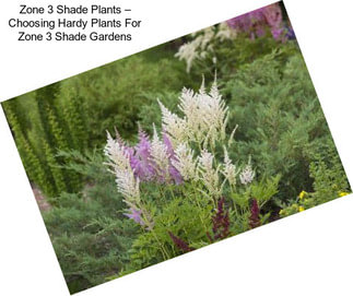 Zone 3 Shade Plants – Choosing Hardy Plants For Zone 3 Shade Gardens