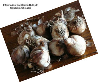 Information On Storing Bulbs In Southern Climates