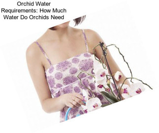 Orchid Water Requirements: How Much Water Do Orchids Need