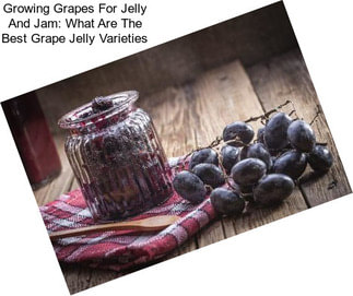 Growing Grapes For Jelly And Jam: What Are The Best Grape Jelly Varieties