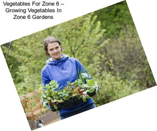 Vegetables For Zone 6 – Growing Vegetables In Zone 6 Gardens