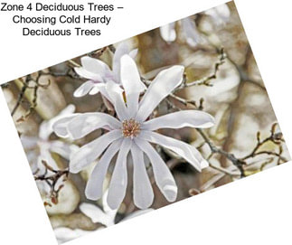 Zone 4 Deciduous Trees – Choosing Cold Hardy Deciduous Trees