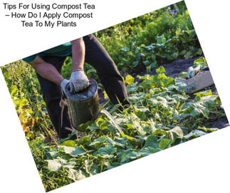 Tips For Using Compost Tea – How Do I Apply Compost Tea To My Plants
