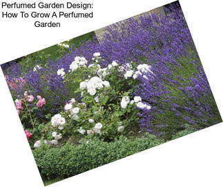 Perfumed Garden Design: How To Grow A Perfumed Garden