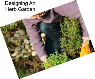 Designing An Herb Garden