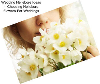 Wedding Hellebore Ideas – Choosing Hellebore Flowers For Weddings