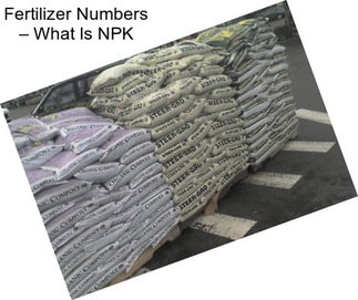 Fertilizer Numbers – What Is NPK