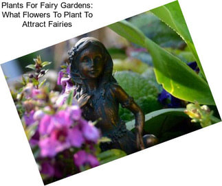 Plants For Fairy Gardens: What Flowers To Plant To Attract Fairies