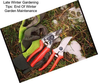 Late Winter Gardening Tips: End Of Winter Garden Maintenance